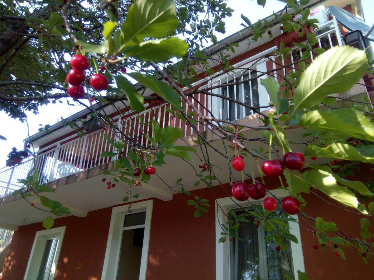 Apartman Vesna Virpazar Exterior photo